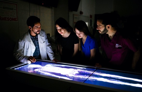Students viewing an X-ray of a human skeleton