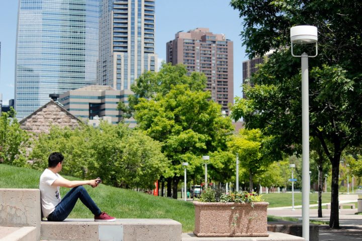 Student sitting outside looking at Denver skyscrapers and trees