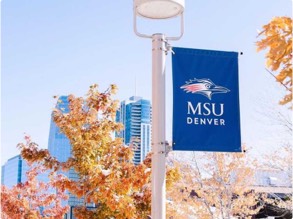 MSU Denver miniature flag on light post