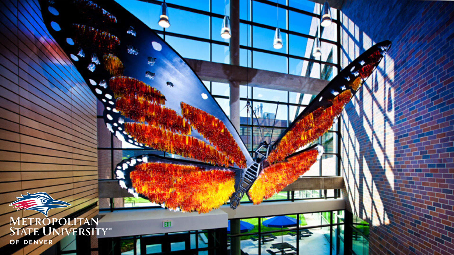 Butterfly art piece in the Science Building MSU Denver