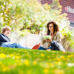 Students studying outdoors