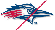 MSU Roadrunner Logo -Misuse - special effects