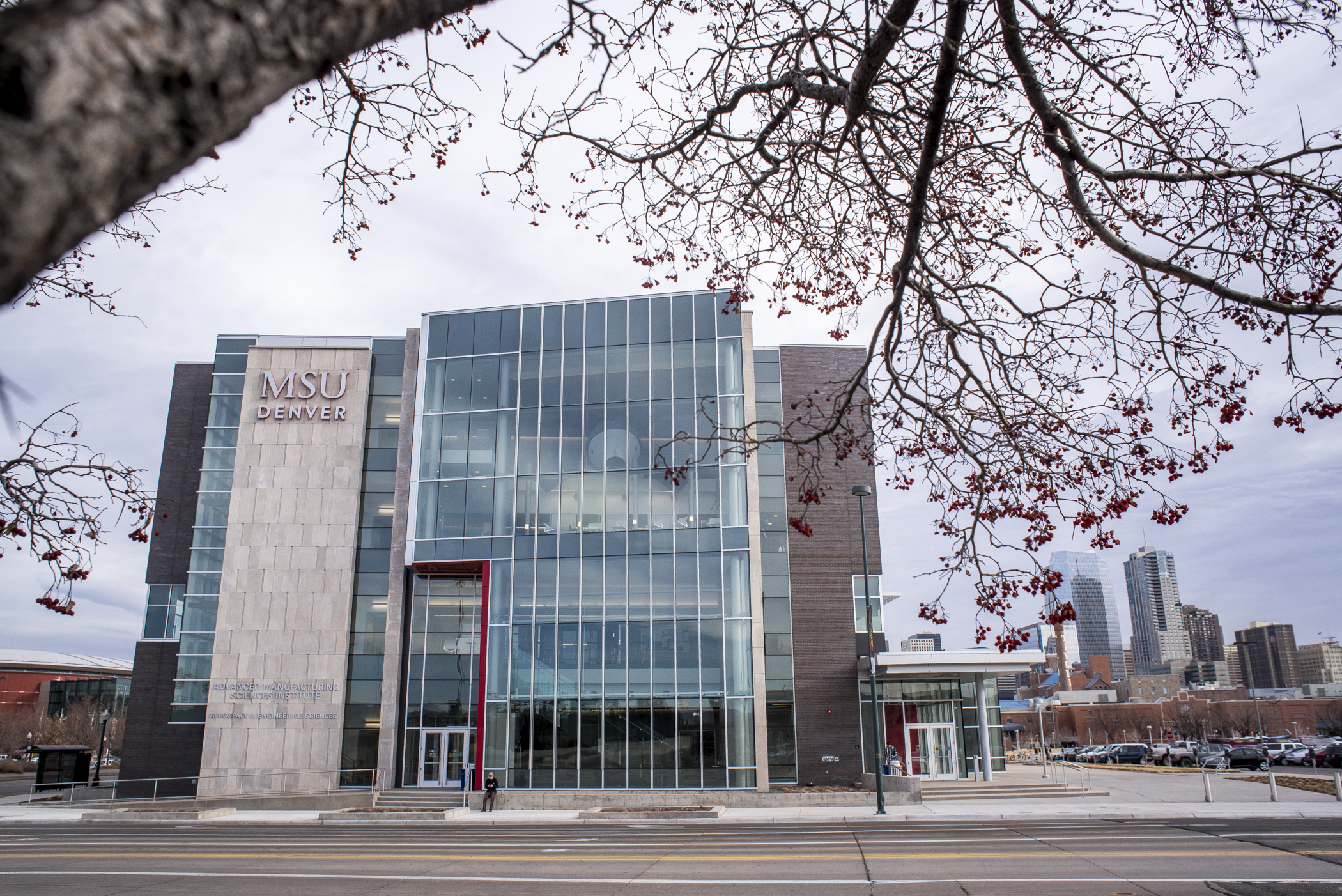 SW AES Bldg. framed by tree branch