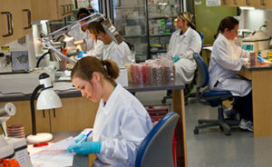 Students reading culture plates in microbiology lab.