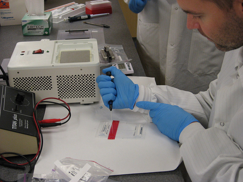 Student pipeting sample onto an electrophoresis membrane.
