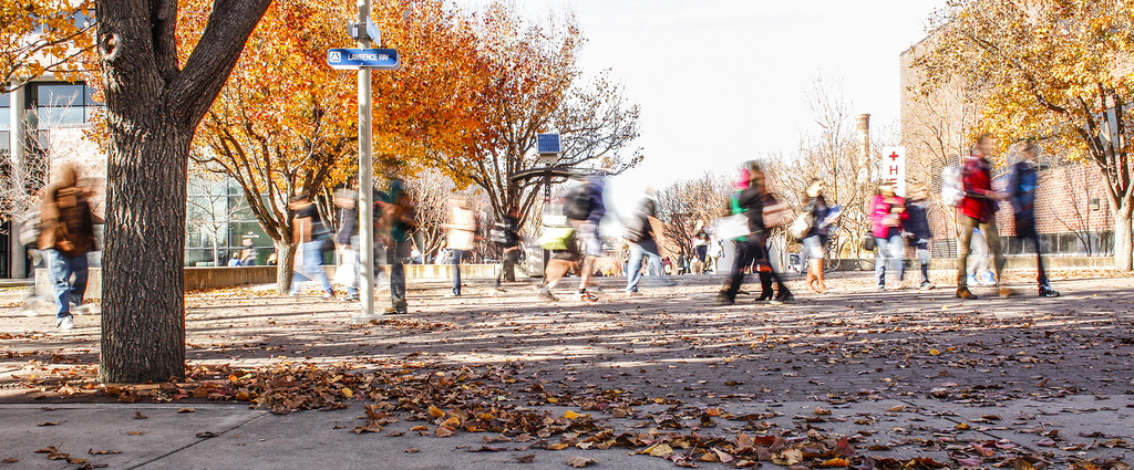 Busy fall campus