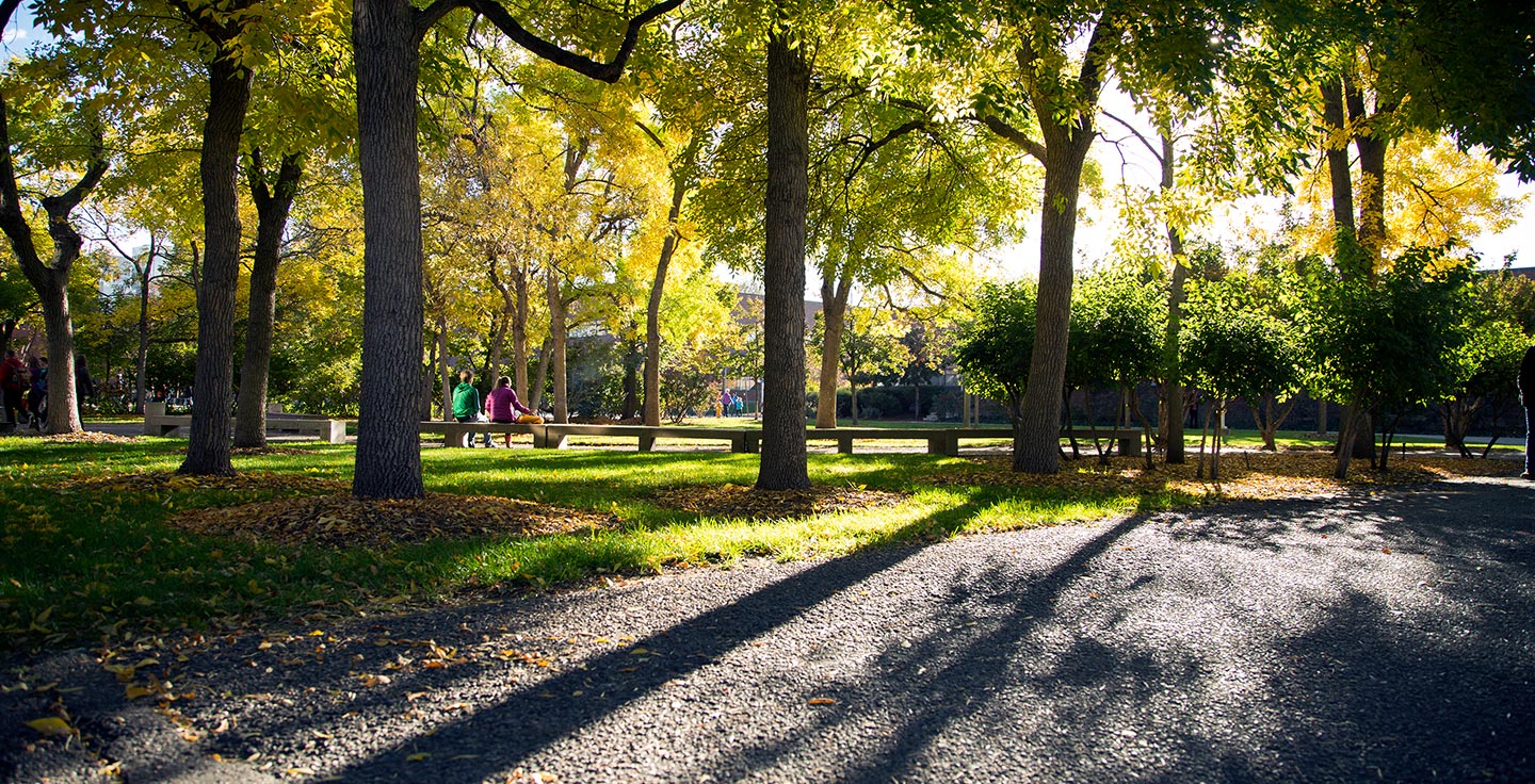 A fall afternoon on Auraria Campus.