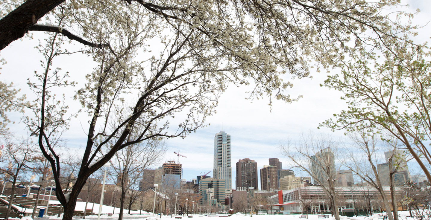 Auraria Campus on a snowy day.