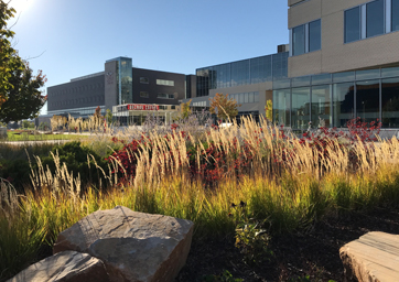 grass area outside of Jordan student success building on MSU Denver campus