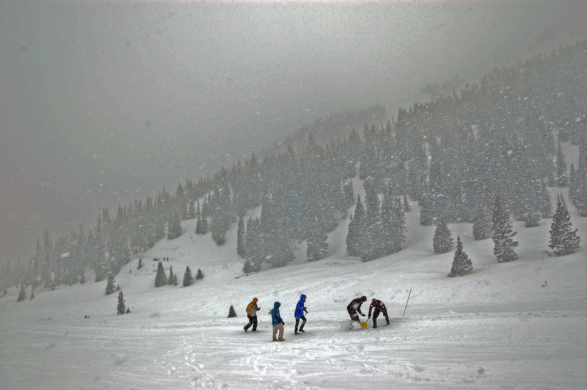 Students dig avalanche pits