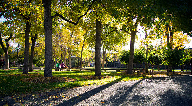 A fall afternoon on Auraria Campus.