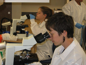 Students viewing hematology slides under a microscope during student lab.