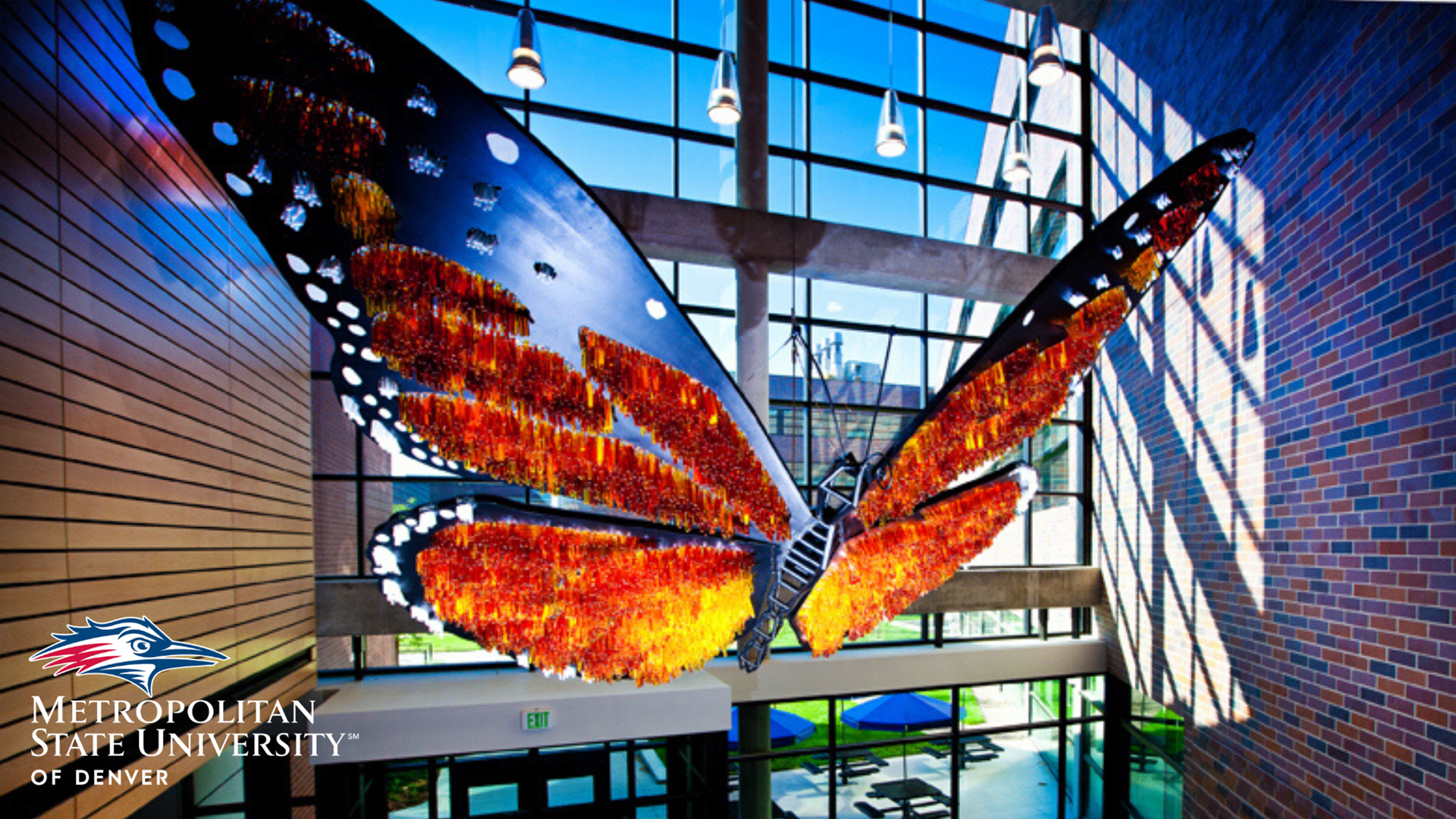 Butterfly art piece in Science building