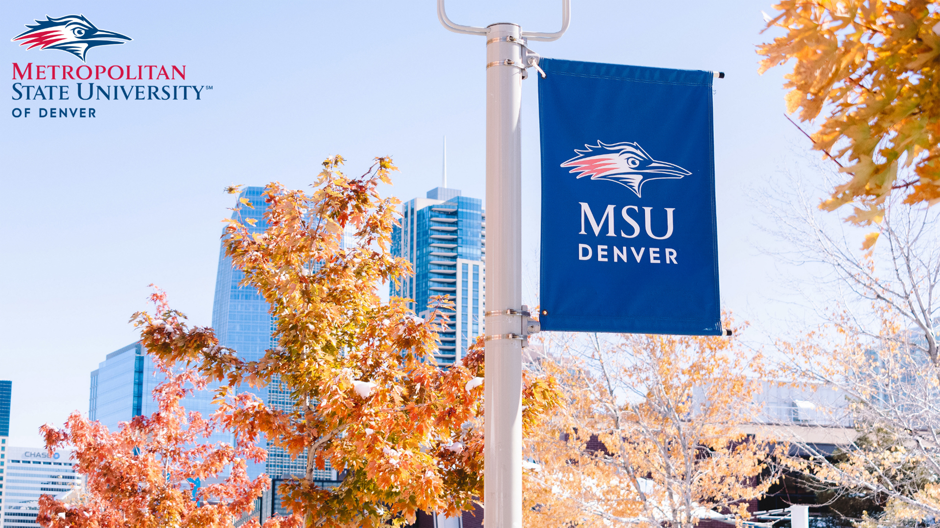 MSU Denver sign with Fall leaves