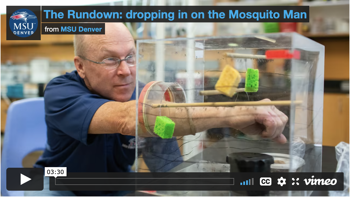 Thumbnail: The Rundown: Dropping in on the Mosquito Man