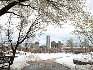 A snowy day on Auraria Campus.