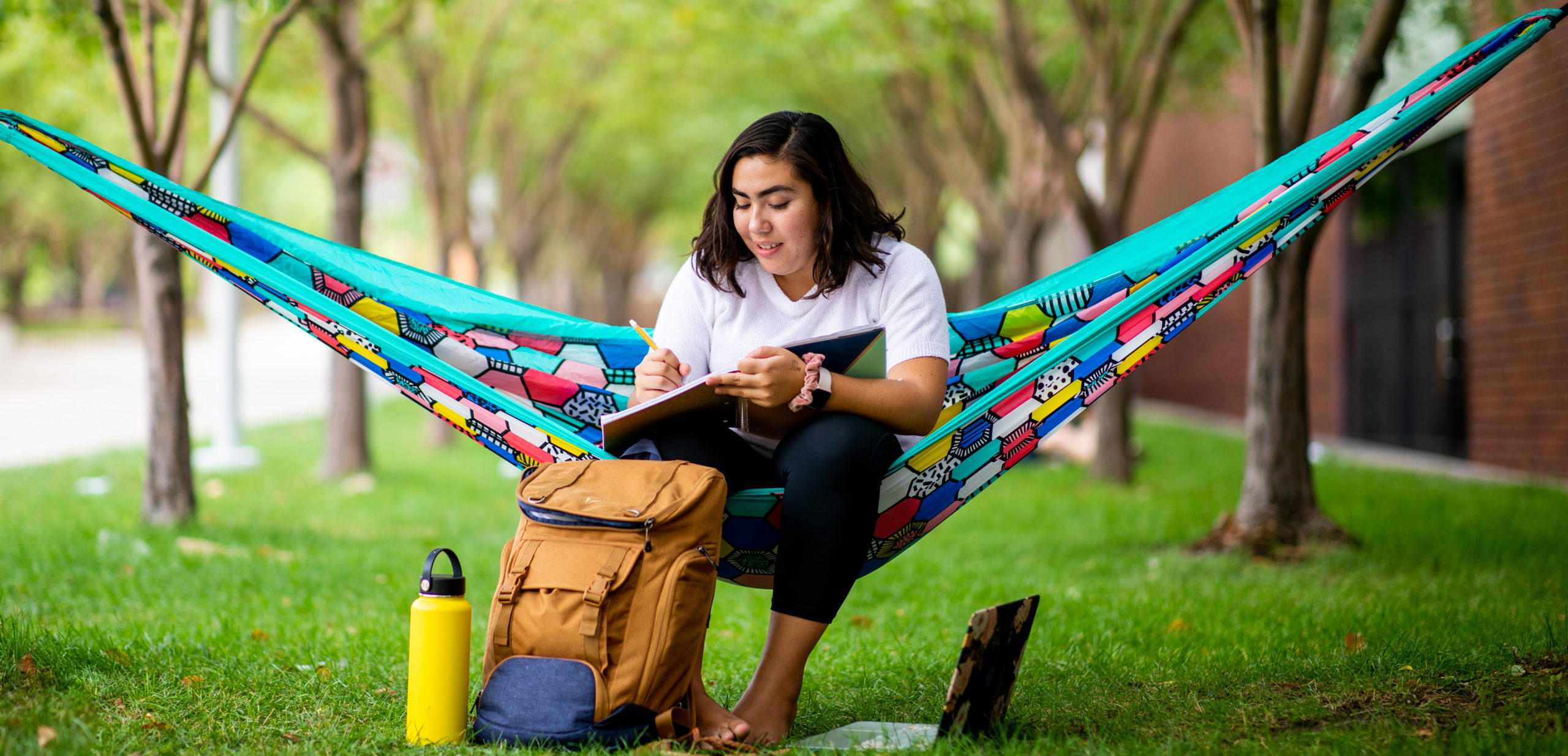 Student studying on campus
