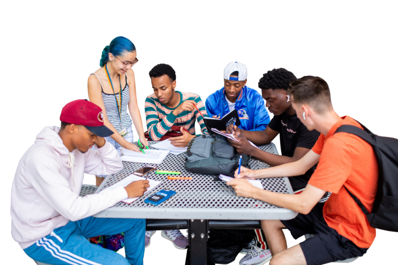 Students studying outdoors.