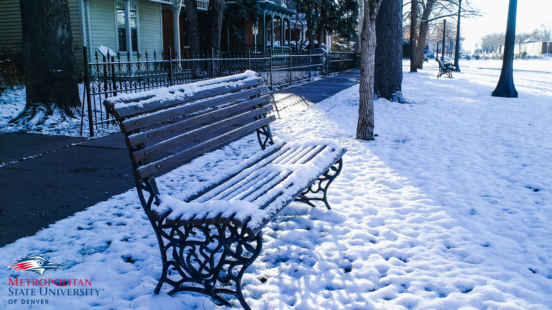 9th Street Historic Park Bench covered in snow