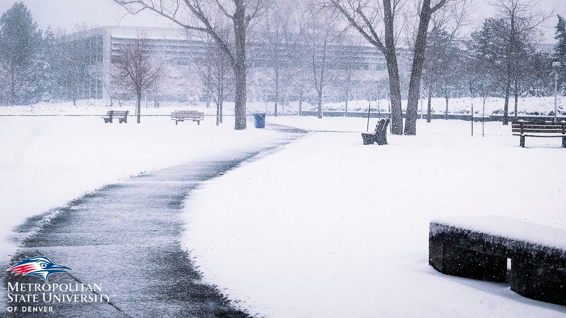 Auraria campus during a snowstorm