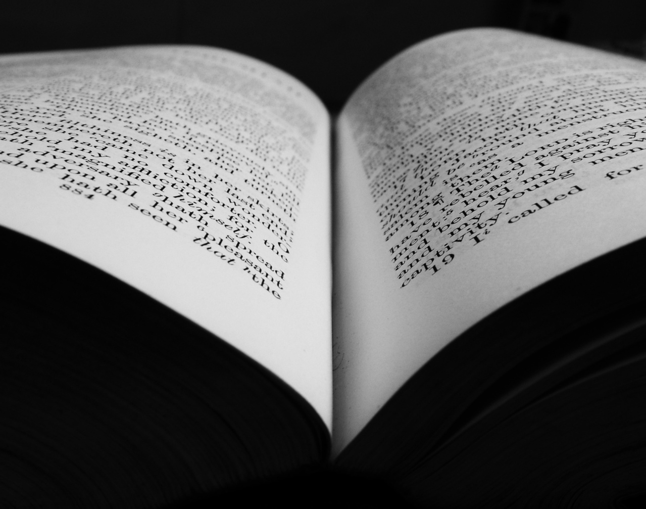 photo of an open book, with text on the pages