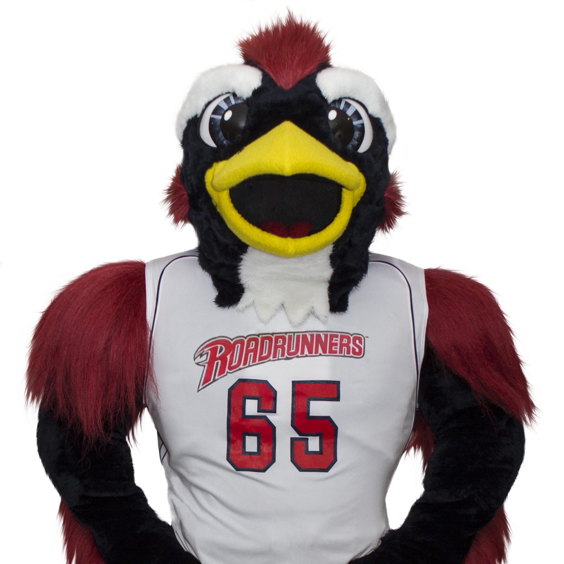 Rowdy the mascot headshot