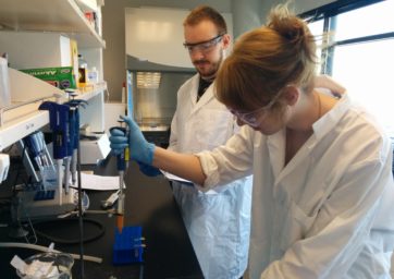 Students gather research in a lab.