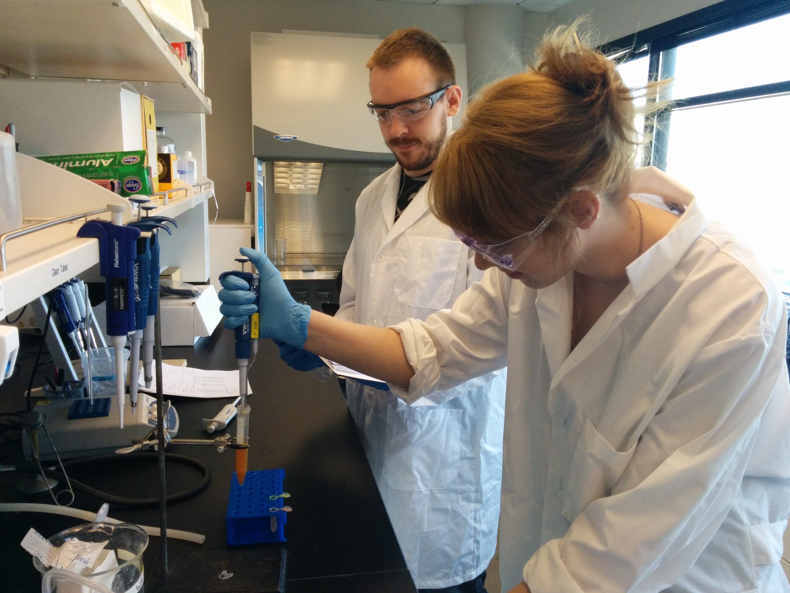 Students gather research in a lab.