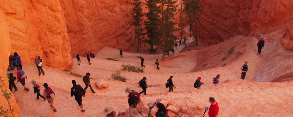 MSU Denver Students hiking at Bryce Canyon