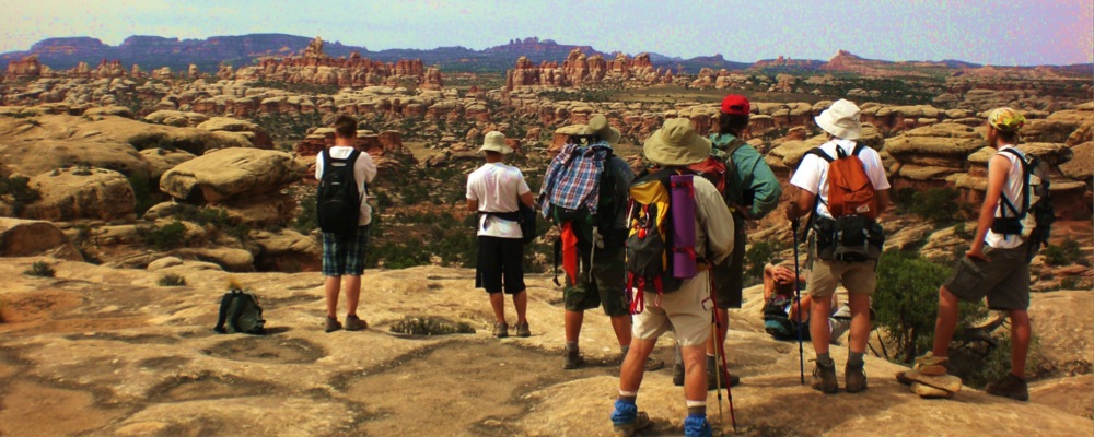 Students looking out at the landforms in Needles National Park