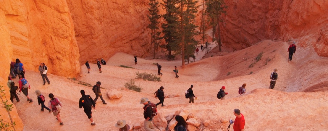 Geology Field Trip to Bryce Canyon