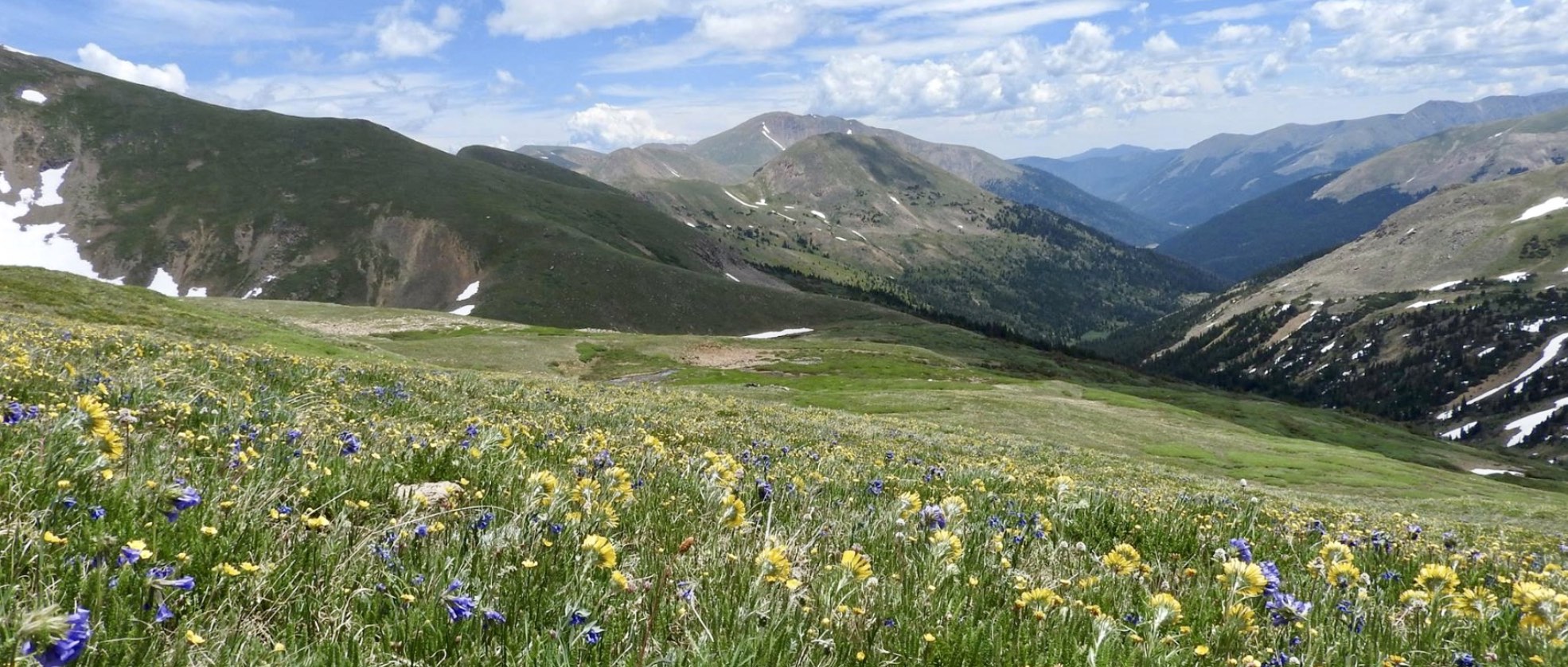 Mountain Range with field