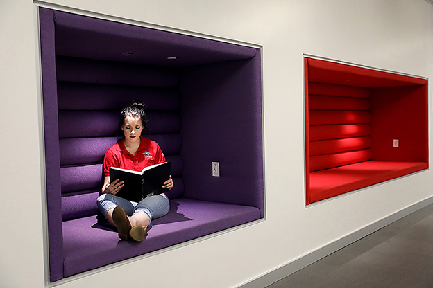 MSU Denver senior Grace Rink looks at paintings made by artist Pieter Bruegal in one of the study pods on the second floor in the Student Success Building. Photo by Alyson McClaran