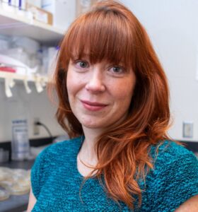 Helene Ver Eecke, Ph.D.