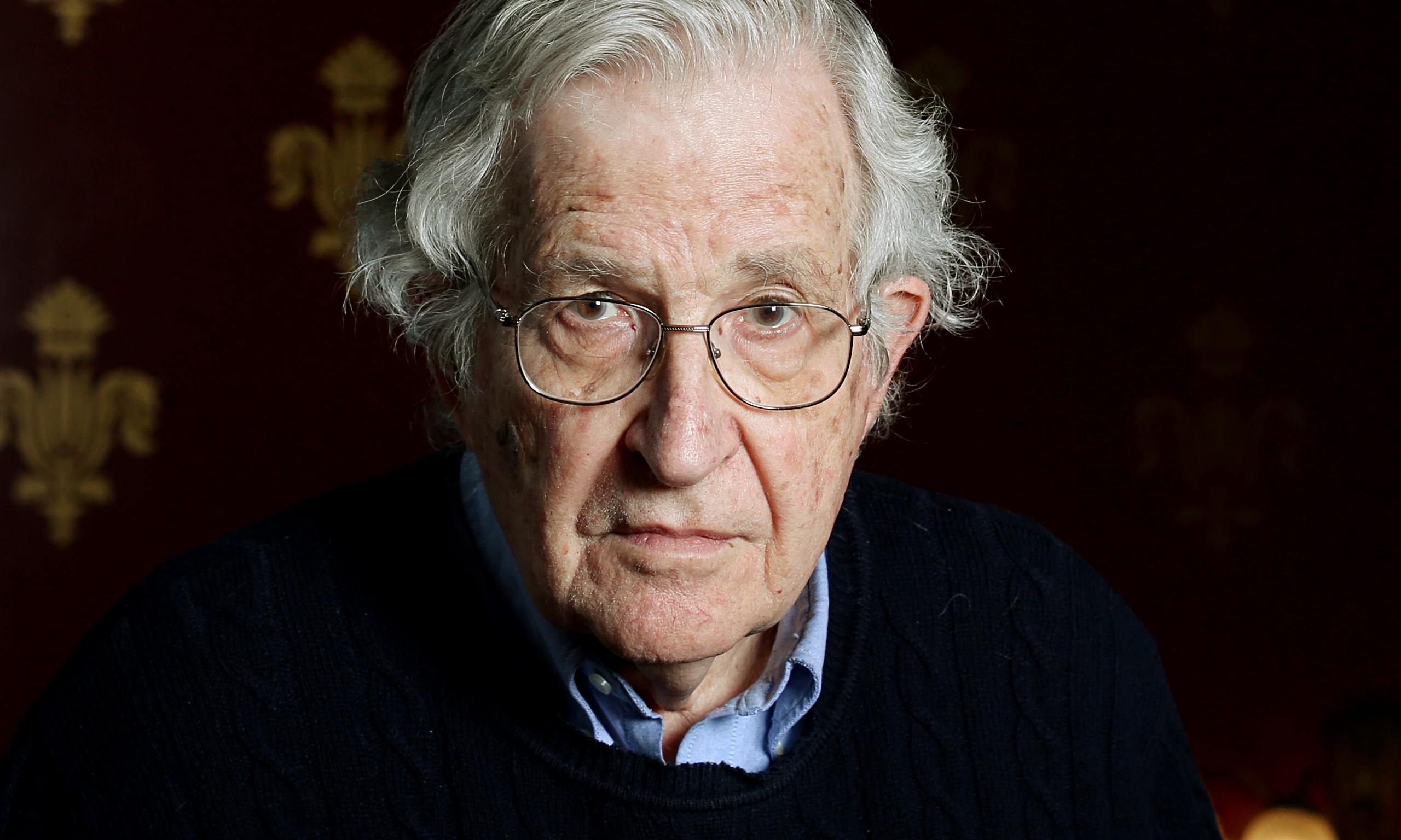 noam chomsky