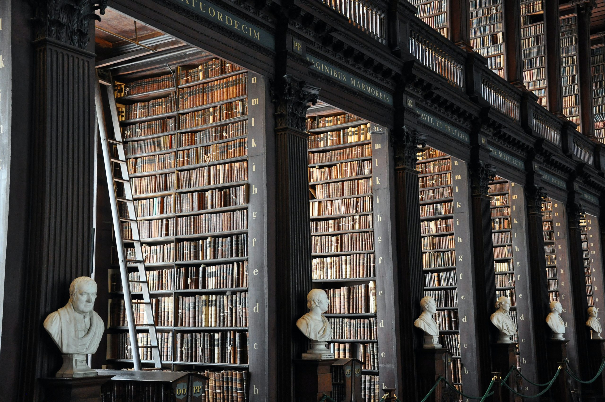 Library with books on black shelves and busts in front of pillars. Taken by Alex Block