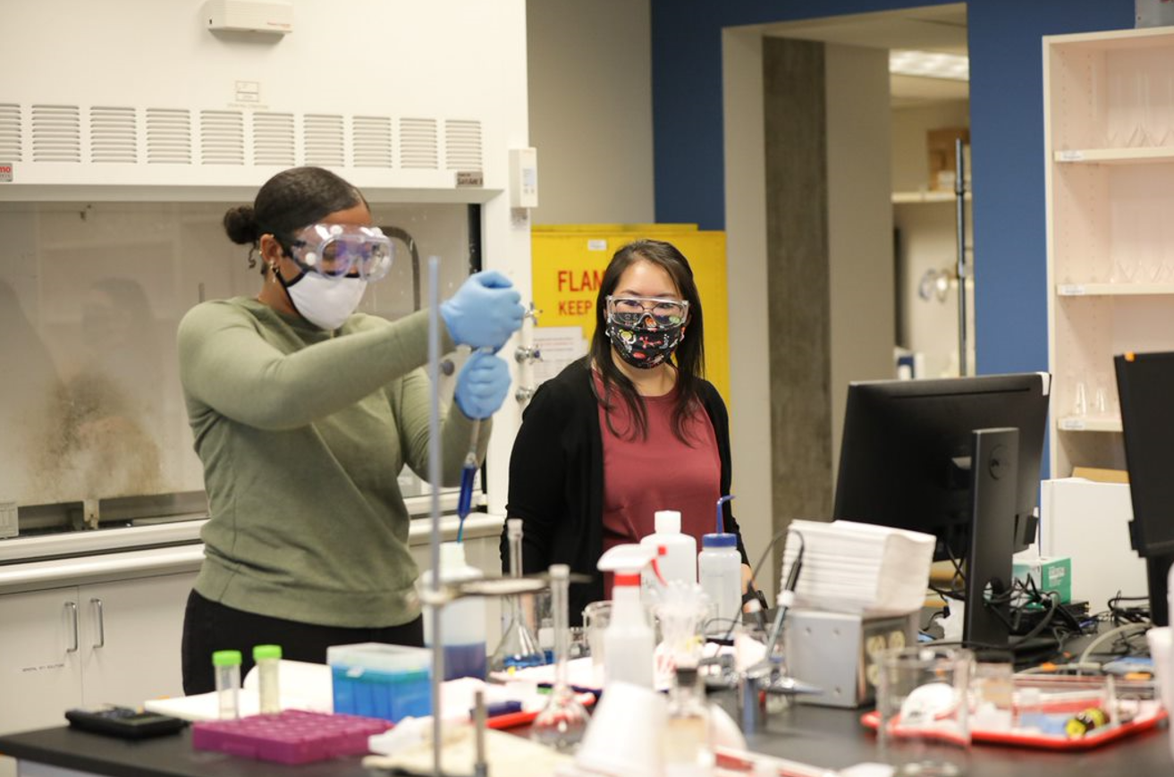 Students in the lab