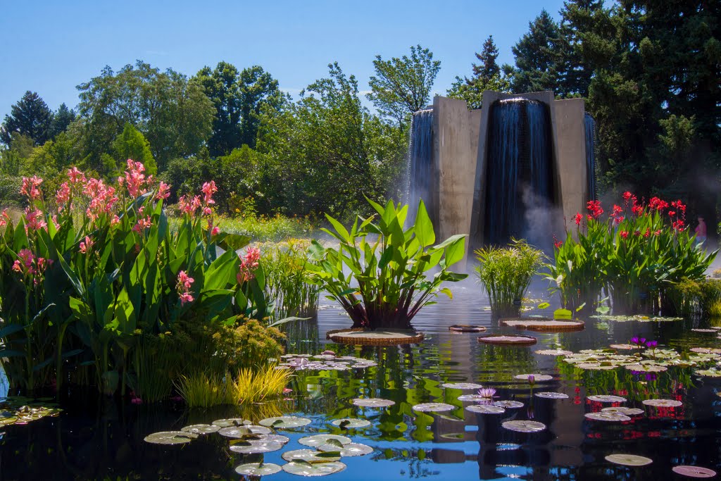 Pond at Denver Botanic Gardens
