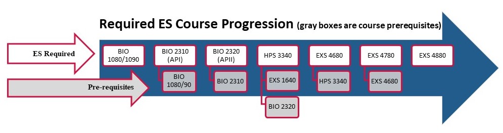 EXS Course Sequence