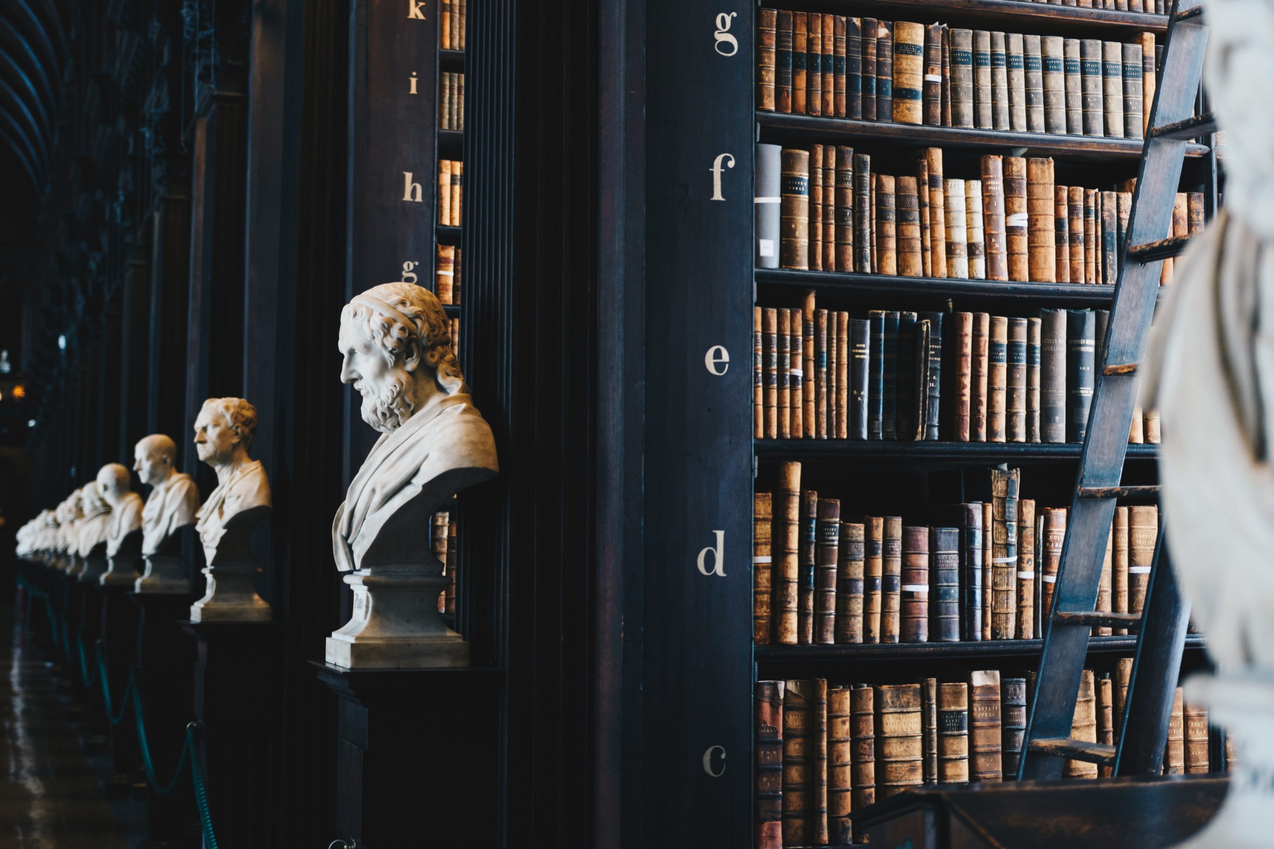 Picture of Busts in a library with books. Photo by Giammarco