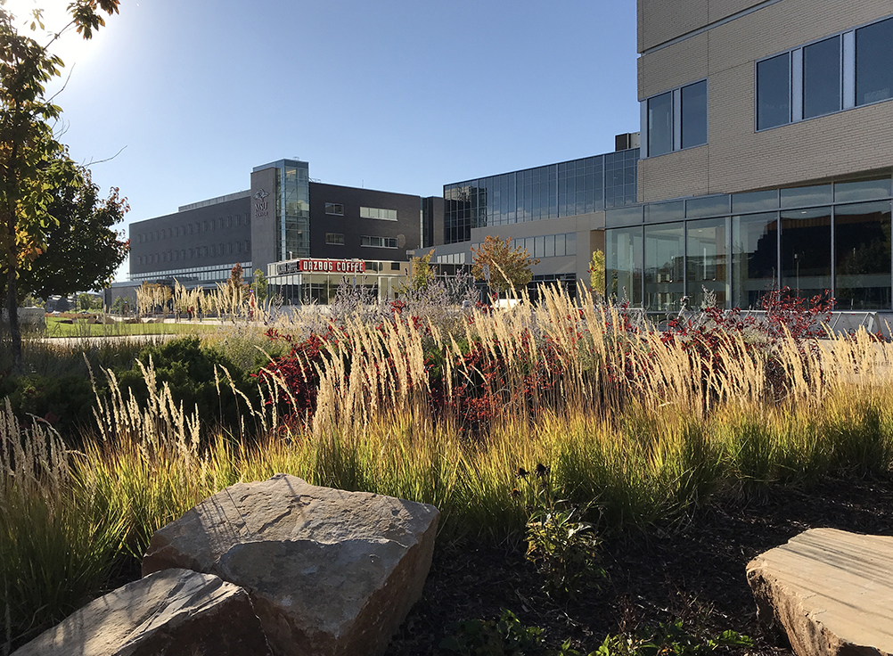 Jordan Student Success Building in the Fall