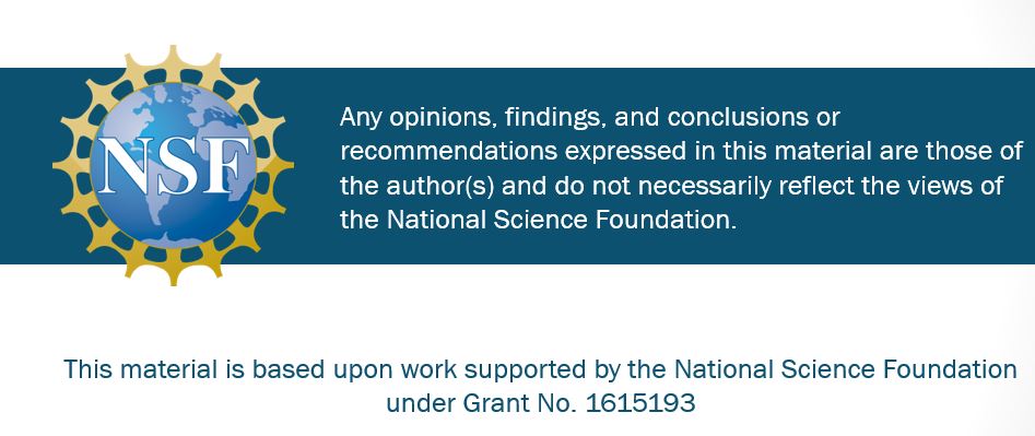 NSF Grant Number