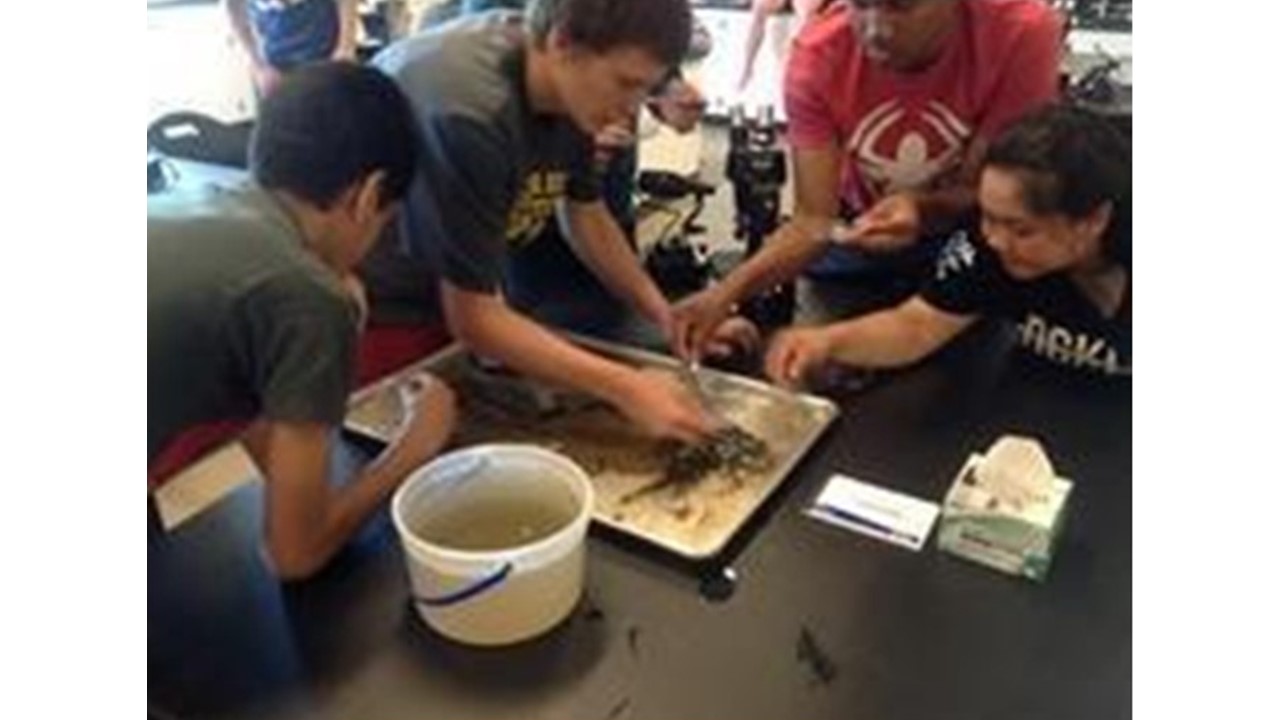 Summer Science Institute