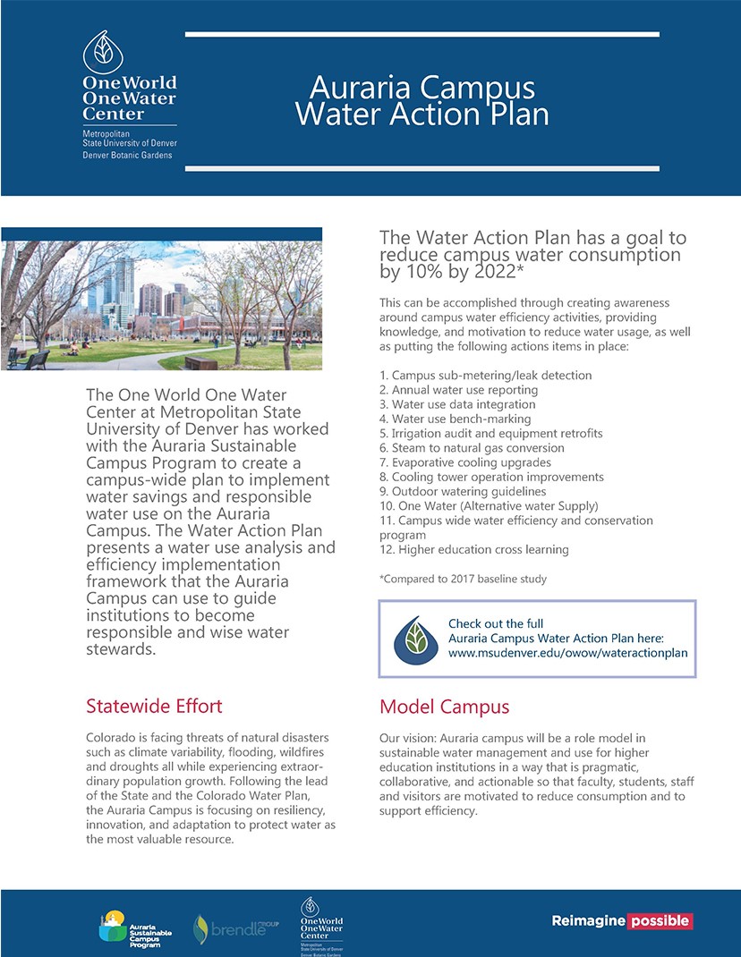 Front of one page summary of Water Action Plan