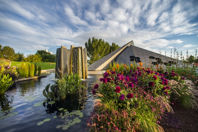 Flowers and a pond with dramatic clouds in sky