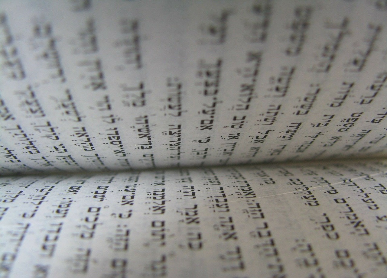 Torah pages