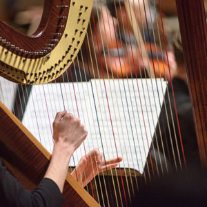 Harp in front of sheet music