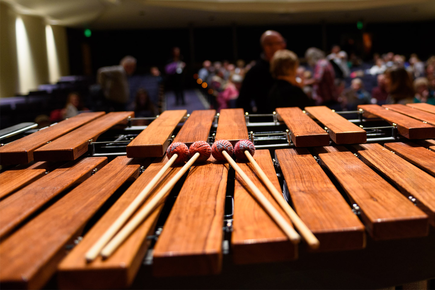 Marimba mallets resting on a marimba in a large concert hall