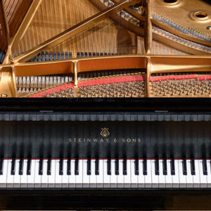 Grand piano keys and soundboard