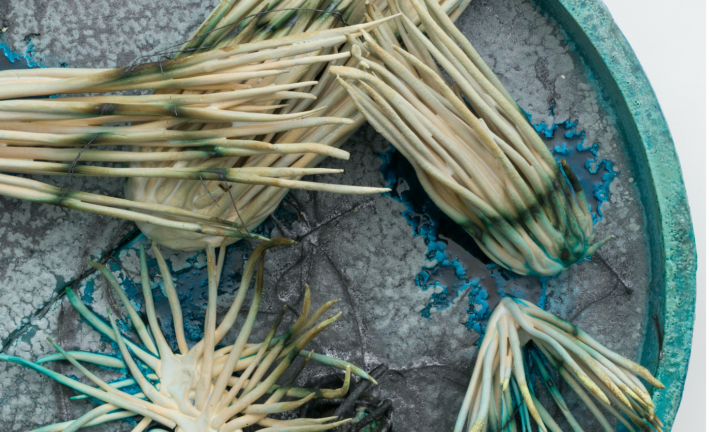Detail image of a ceramic piece showing what appears to be sea urchin type shapes in a dish.